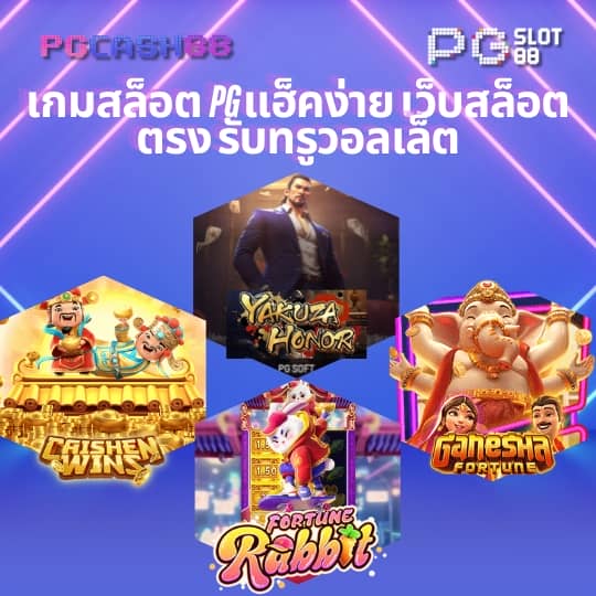 แพนด้า1234