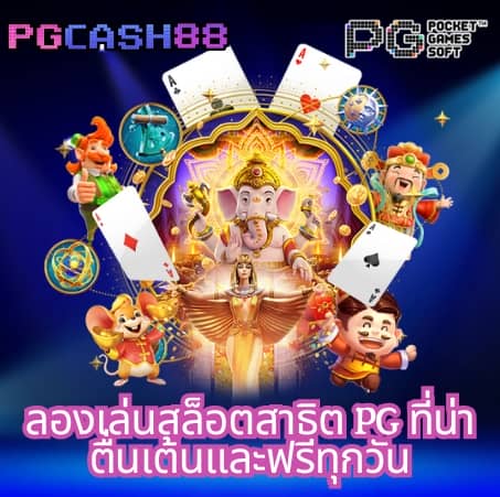 แพนด้า1234